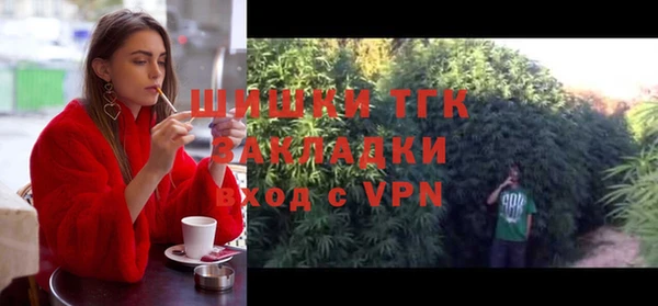 тгк Алзамай
