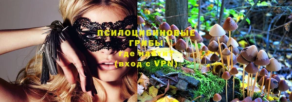 тгк Алзамай